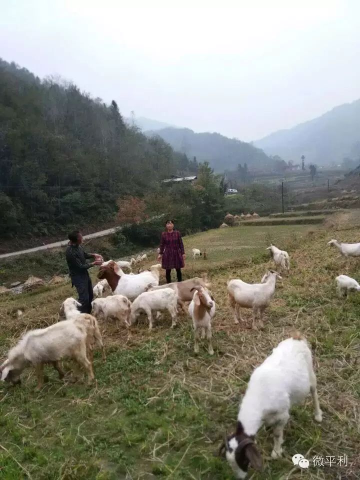 希望田野富硒农产品(富硒试验田)-硒宝网