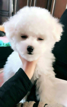 换牙期需要补钙吗（补钙期换牙需要多长时间）-硒宝网