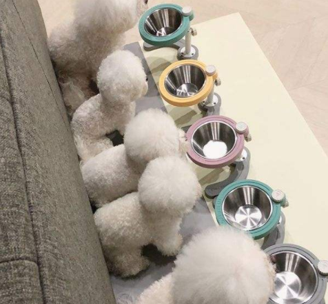 换牙期需要补钙吗（补钙期换牙需要多长时间）-硒宝网