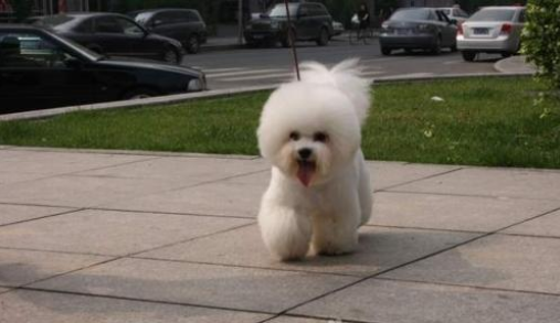 换牙期需要补钙吗（补钙期换牙需要多长时间）-硒宝网