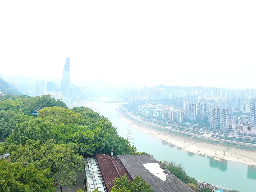 富硒农产品开发建议(富硒农场产品)-硒宝网