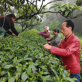 富硒农产品开发建议(富硒农场产品)-硒宝网