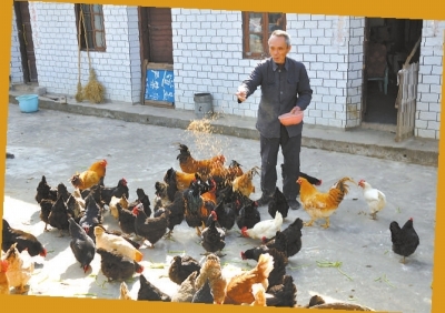 富硒农产品都有什么(富硒农业)-硒宝网