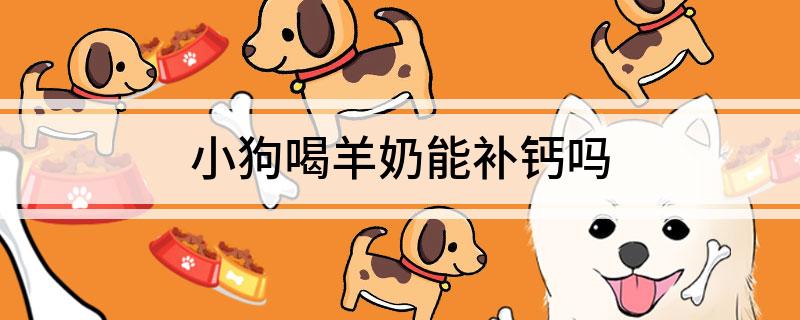 羊奶粉能补钙吗(羊奶可以补钙)-硒宝网