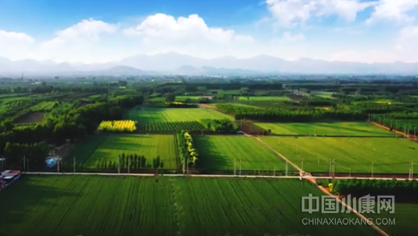 富硒农产品研究目标(农产品富硒标准)-硒宝网