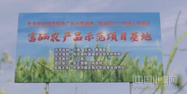 富硒农产品研究目标(农产品富硒标准)-硒宝网