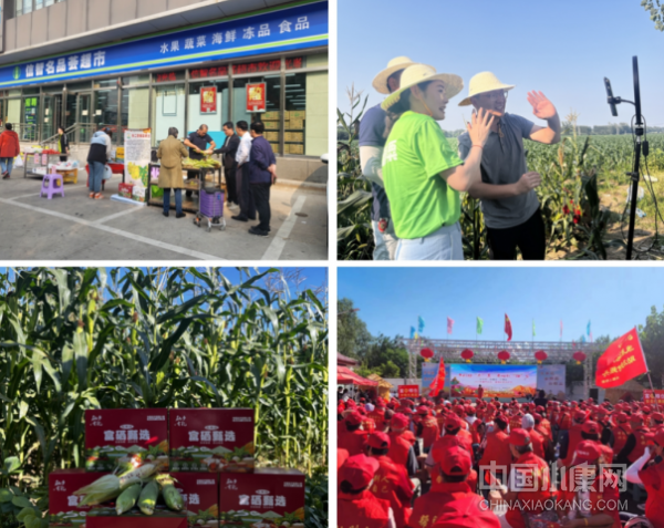 富硒农产品研究目标(农产品富硒标准)-硒宝网