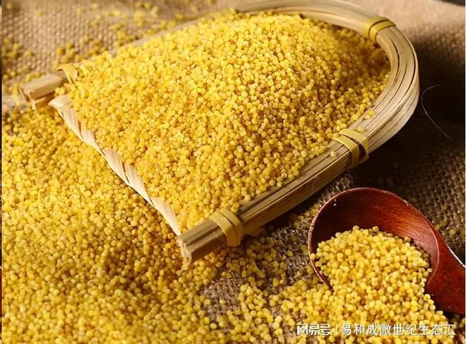 富硒农产品研究目标（富硒农产品国内外研究现状）-硒宝网