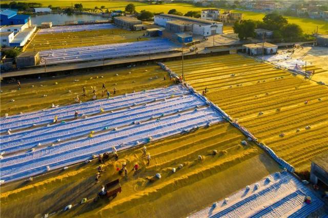 富硒农产品基地建设（富硒农业示范基地建设）-硒宝网