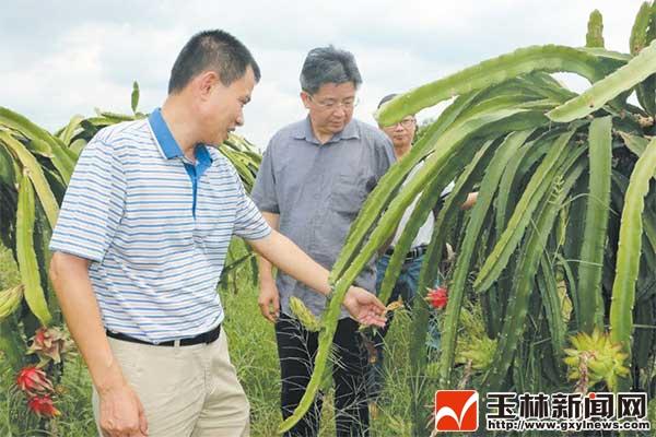 形成产业富硒农产品（农产业富硒形成产品是什么）-硒宝网