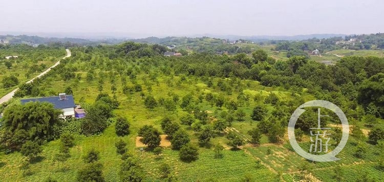 富硒农产品新闻采访(富硒产品的调查和分析)-硒宝网