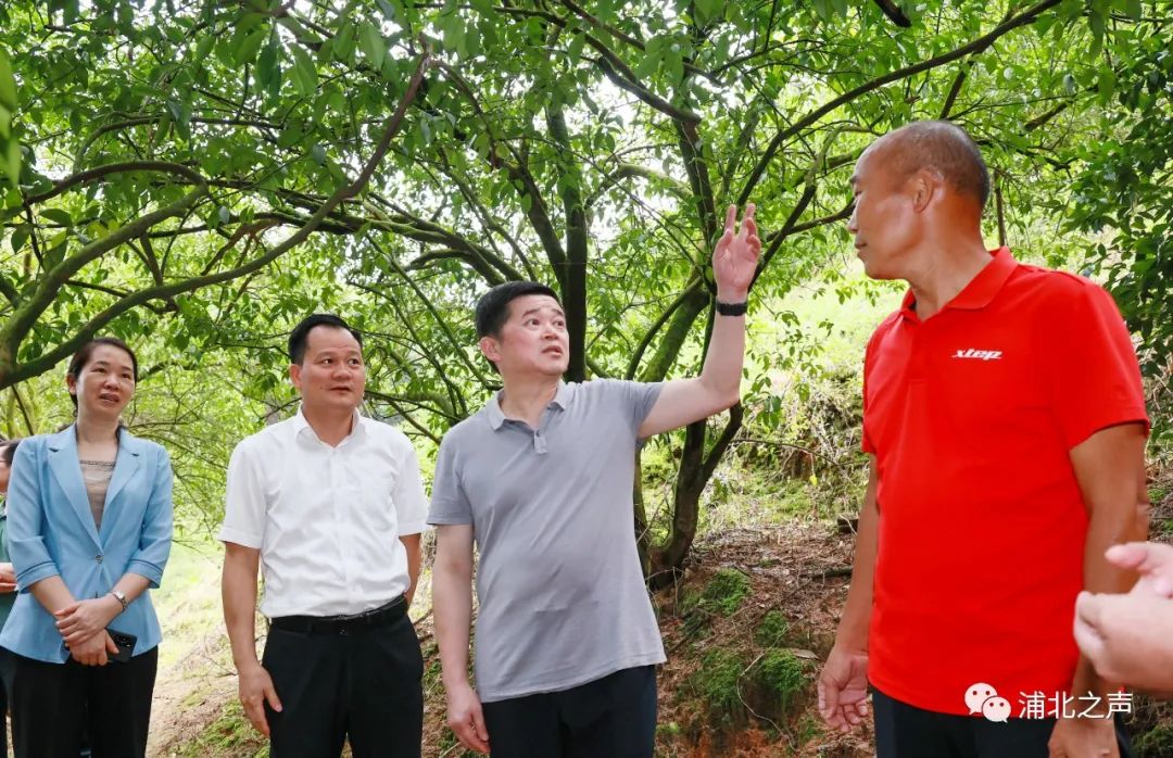 广西浦北县富硒产品(广西浦北全国农业富硒基地)-硒宝网