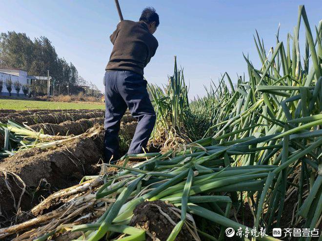 富硒产品的市场行情(行情富硒市场产品有哪些)-硒宝网
