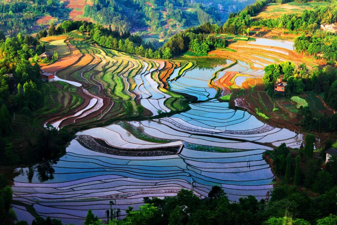 生态富硒绿色农产品（富硒生态食品）-硒宝网