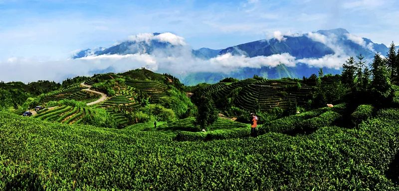 生态富硒绿色农产品（富硒生态食品）-硒宝网