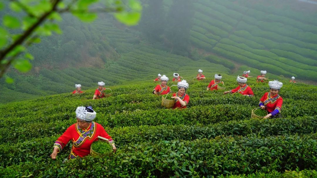 生态富硒绿色农产品（富硒生态食品）-硒宝网