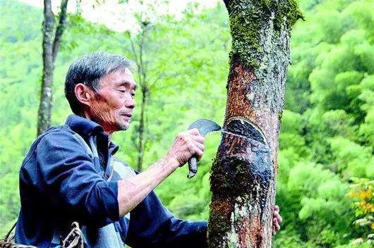 生态富硒绿色农产品（富硒生态食品）-硒宝网