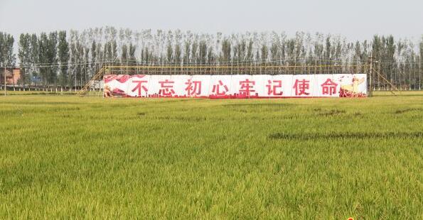 富硒农产品新闻采访(富硒农产品广告)-硒宝网