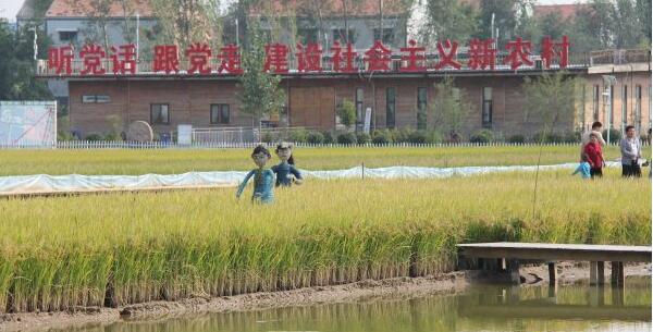 富硒农产品新闻采访(富硒农产品广告)-硒宝网