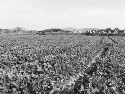 新田富硒农产品协会(新田富硒产品在哪个村)-硒宝网