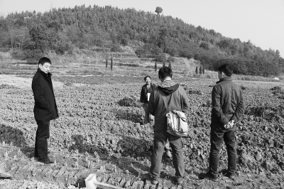 新田富硒农产品协会(新田富硒产品在哪个村)-硒宝网