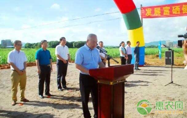 惠民县农业富硒产品（惠民农业县富硒产品介绍）-硒宝网