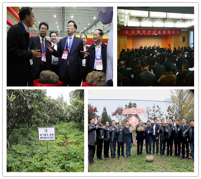 常州安康富硒农产品（安康富硒食品）-硒宝网