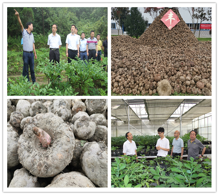 常州安康富硒农产品（安康富硒食品）-硒宝网