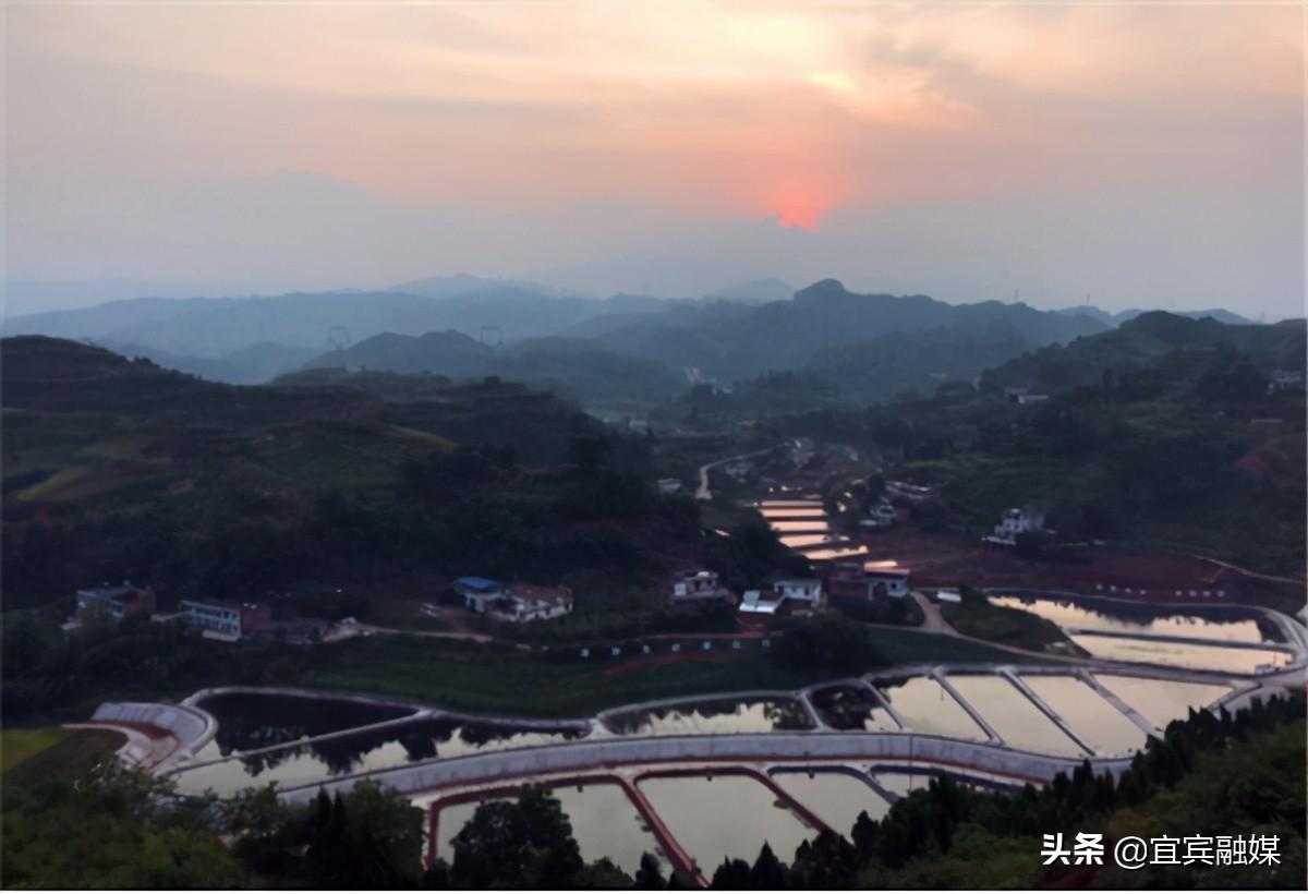 宜宾屏山富硒农产品(宜宾橙乡富硒公司)-硒宝网