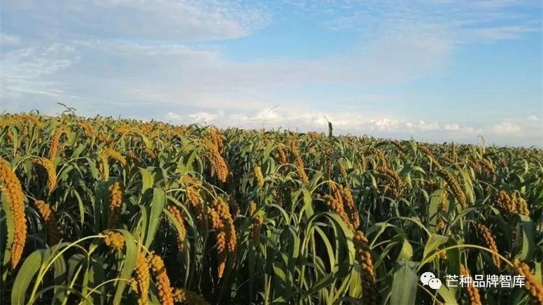 怎么认证富硒农产品(富硒农产品认证机构)-硒宝网