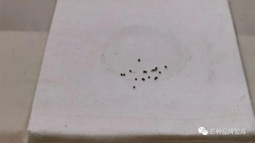 怎么认证富硒农产品(富硒农产品认证机构)-硒宝网