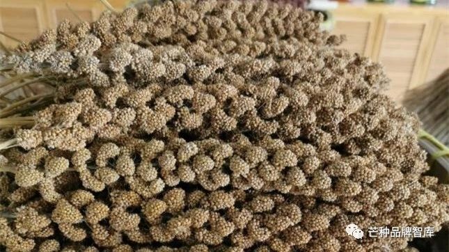 怎么认证富硒农产品(富硒农产品认证机构)-硒宝网