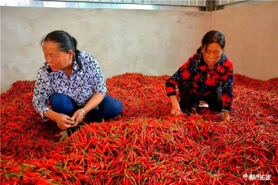 贵阳开阳县富硒产品(开阳富硒食品介绍)-硒宝网