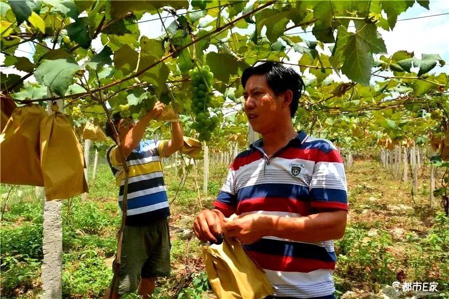 贵阳开阳县富硒产品(开阳富硒食品介绍)-硒宝网