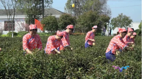 恩施富硒农产品市场（恩施富硒农产品交易中心）-硒宝网