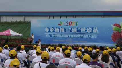 恩施富硒农产品市场（恩施富硒农产品交易中心）-硒宝网