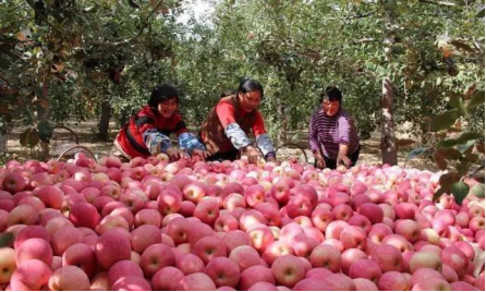 恩施富硒农产品市?。ǘ魇└晃┎方灰字行模?硒宝网