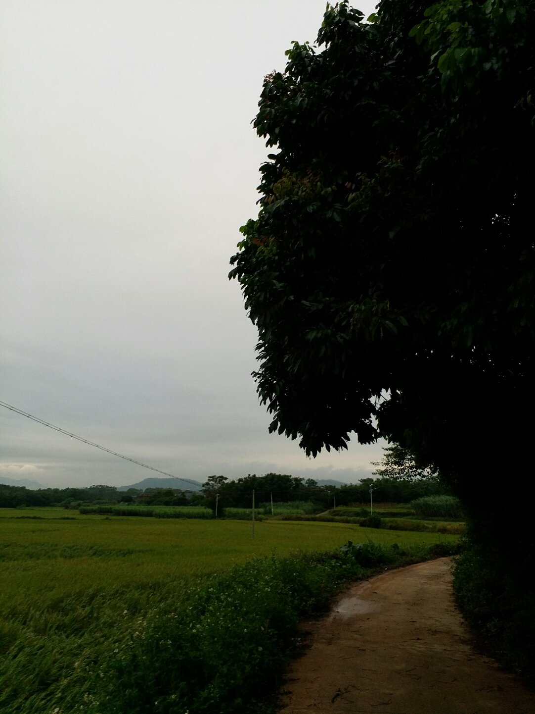 贵港富硒农产品基地(广西贵港富硒土壤)-硒宝网