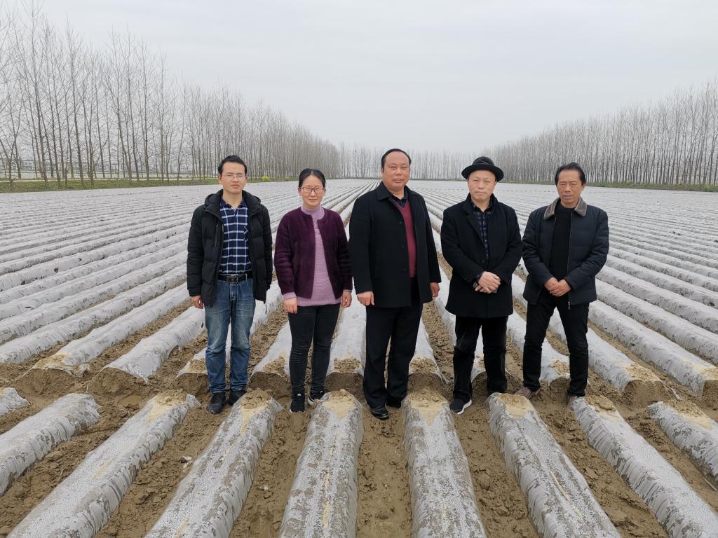 贵港富硒农产品基地(广西贵港富硒土壤)-硒宝网