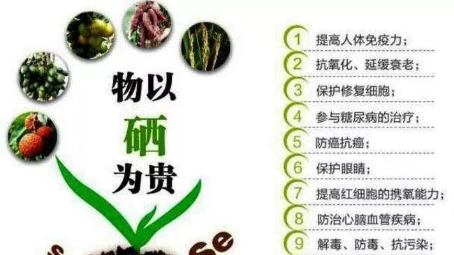 恩施富硒农产品市?。ǘ魇└晃┎放⑹谐。?硒宝网