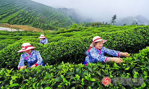江津富硒农产品直播(江津富硒)-硒宝网