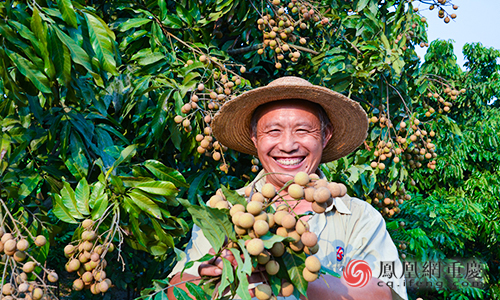 江津富硒农产品直播(江津富硒)-硒宝网
