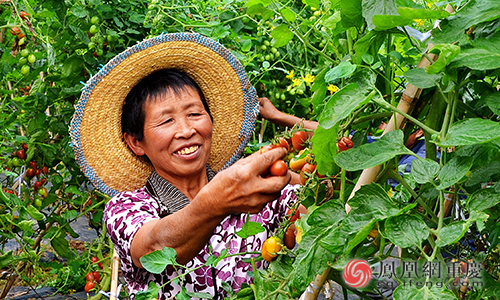 江津富硒农产品直播(江津富硒)-硒宝网