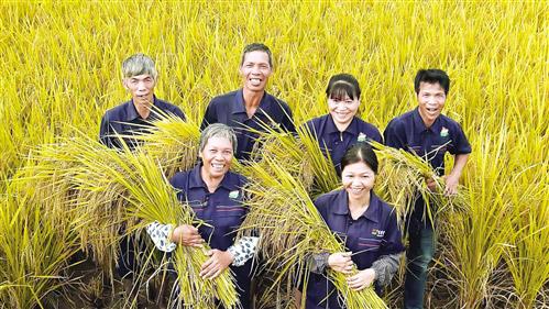 广西富硒农产品标志(广西富硒产品有哪些)-硒宝网