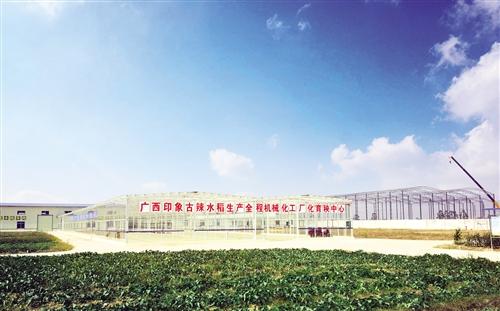 广西富硒农产品标志(广西富硒产品有哪些)-硒宝网