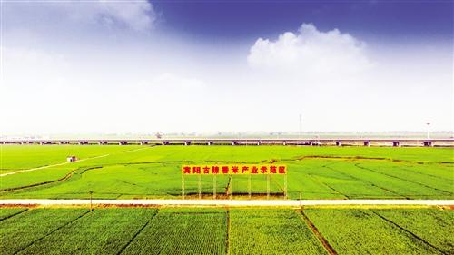 广西富硒农产品标志(广西富硒产品有哪些)-硒宝网