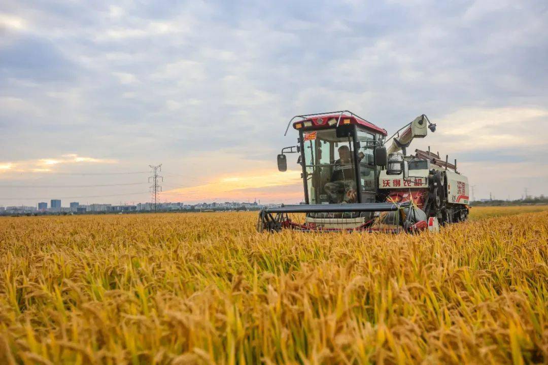 远望富硒农产品公司（南京远望富硒农产品有限公司）-硒宝网