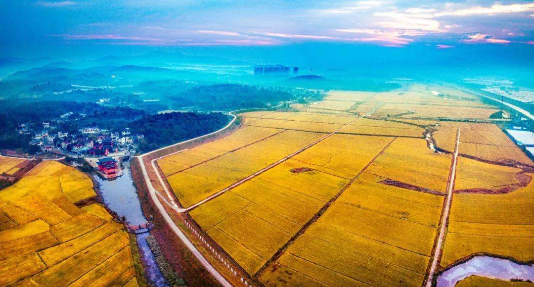 远望富硒农产品公司（南京远望富硒农产品有限公司）-硒宝网