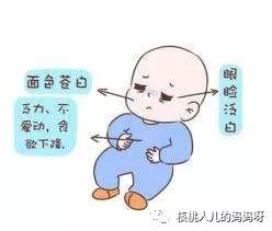 什么能补铁(地贫不能补铁)-硒宝网