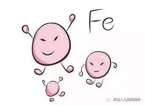 什么能补铁(地贫不能补铁)-硒宝网